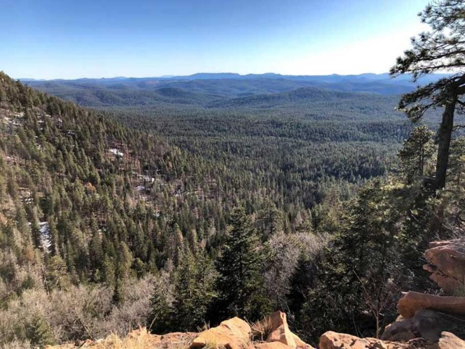 Forest Cabin 1 Hunters Blind Payson Esterno foto