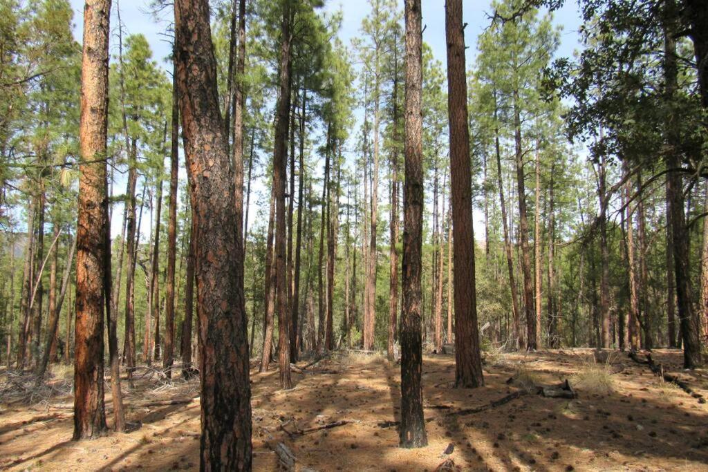 Forest Cabin 1 Hunters Blind Payson Esterno foto